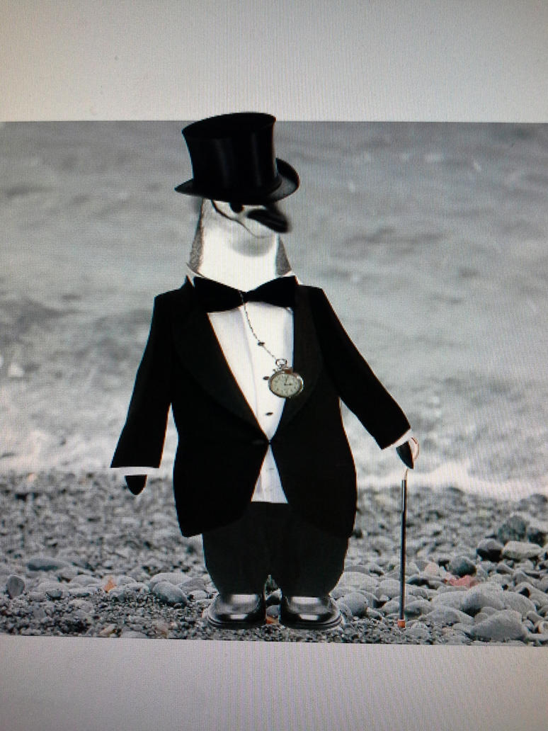 penguin_in_a_suit_by_hyruleanassassin-d8vtb30.jpg