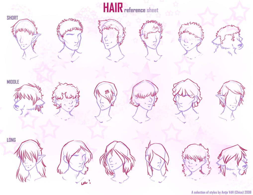 hair reference sheet by Chicoritango on DeviantArt