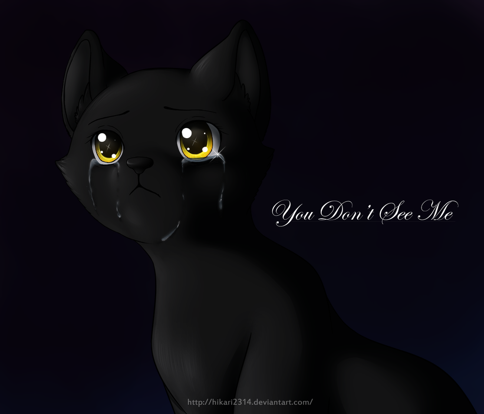 Nightcloud: You Don't See Me.. by hikari2314