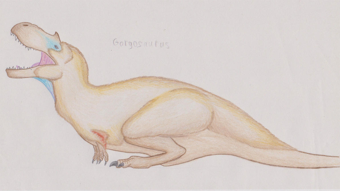 RaptorLover0823's "great" fanart!  Gorgosaurus_by_raptorlover0823-dbk57rj